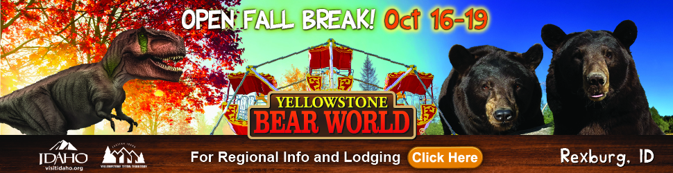 Bear World Fall Break!