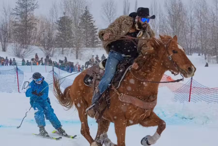 Teton Valley Skijoring