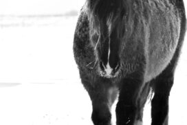 18th Annual National Juried Exhibition