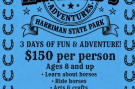Havilands Old West Adventures Kids Camps