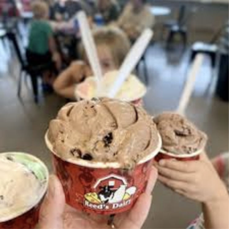 Reed's Dairy