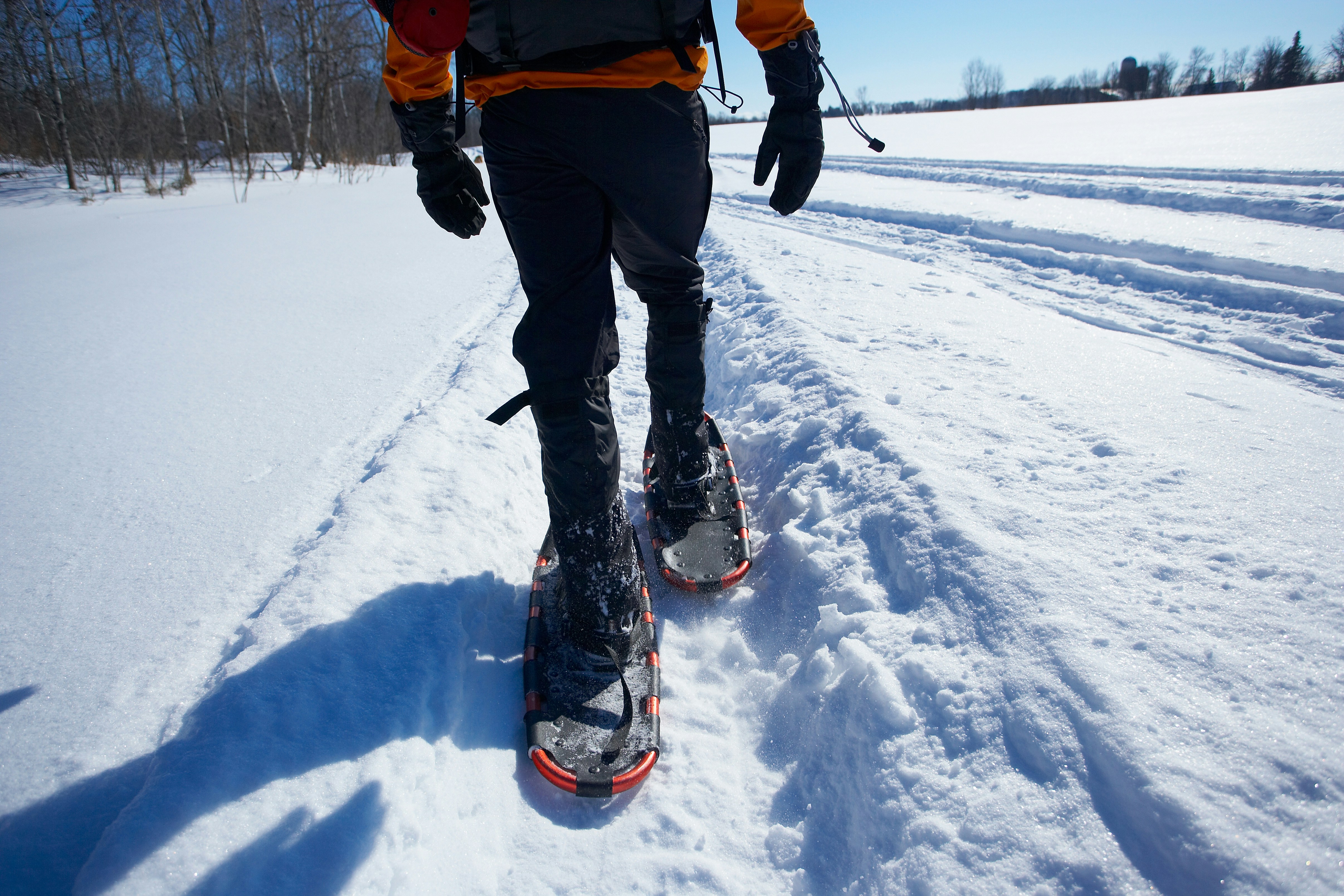getty-images-zpjvrrGwiW0-unsplash Snowshoeing Teton Valley