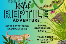 Rexburg, ID ~ SRD's Wild Reptile Adventure ~ Education & Interaction