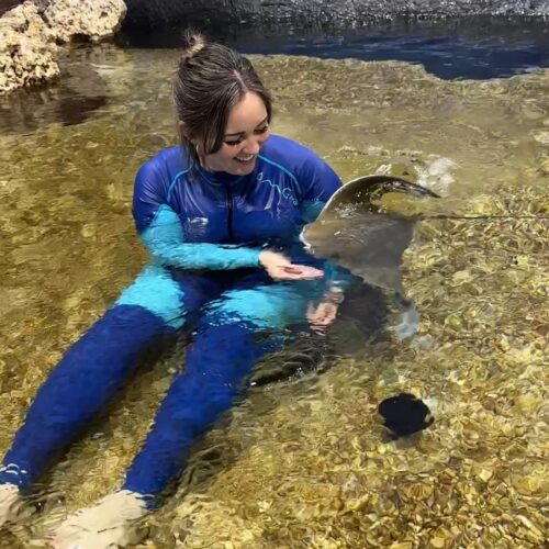 East Idaho Aquarium, Idaho Falls