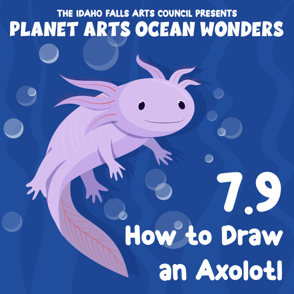 Planet Arts: Ocean Wonders - How to Draw an Axolotl