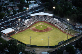 Melaleuca Field