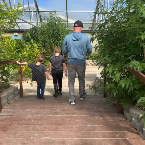 The Butterfly Haven - Idaho’s Largest Butterfly House