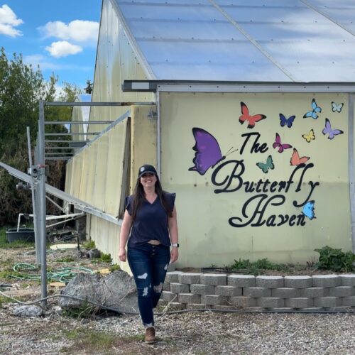 The Butterfly Haven - Idaho’s Largest Butterfly House
