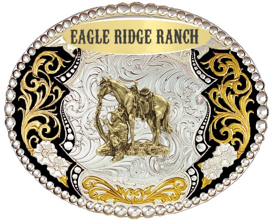 Yellowstone Horses at Eagle Ridge Ranch