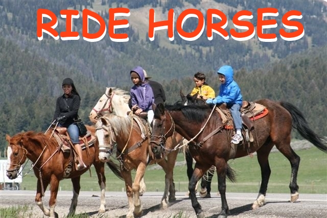 Yellowstone Horses at Eagle Ridge Ranch