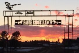 Yellowstone Horses at Eagle Ridge Ranch