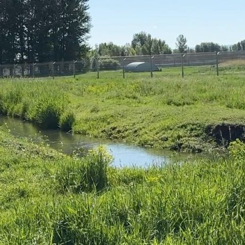 Yellowstone Safari Park, Rexburg Idaho