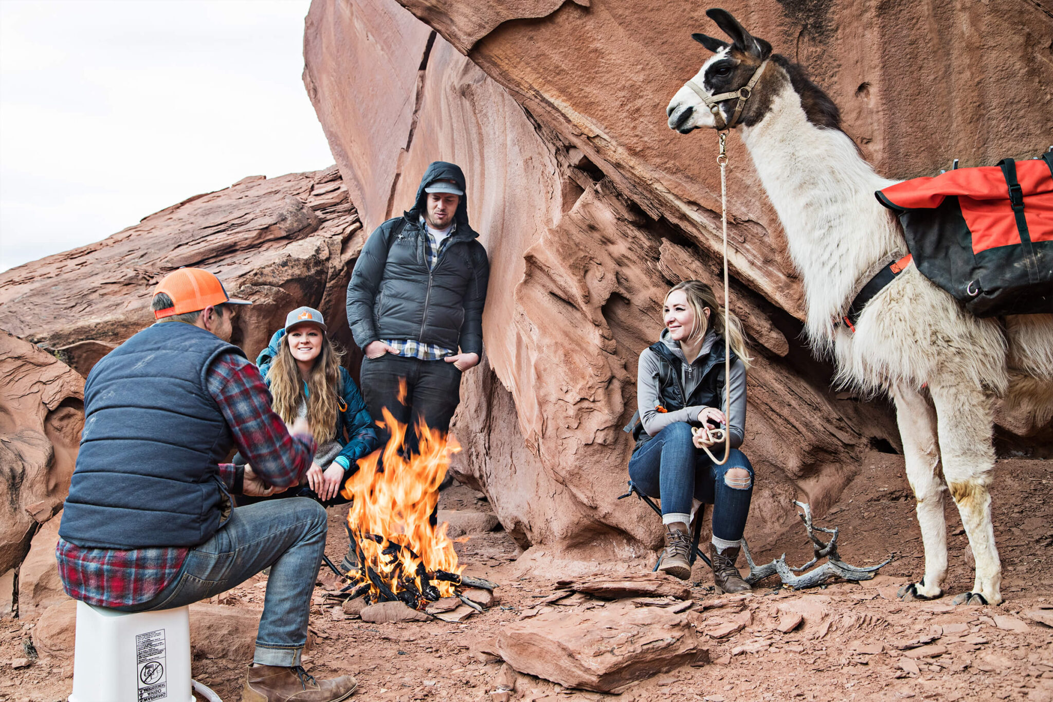 Wilderness Ridge Trail Llamas LLC - Packing Llama Outdoor Adventures 2048x1365