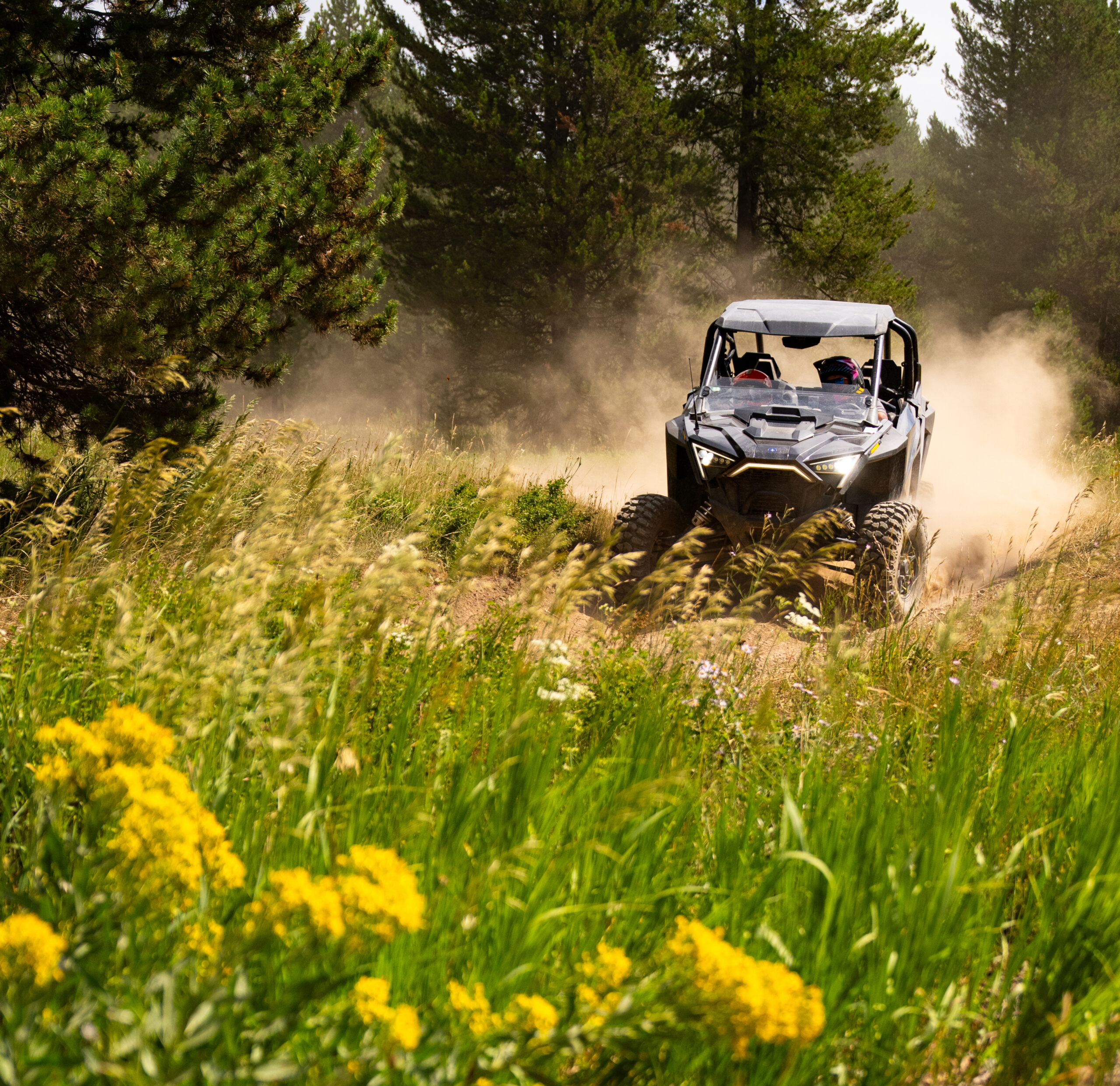 Summer, Island Park, Activity, ATV, UTV, Razor,Polaris, Side by side,