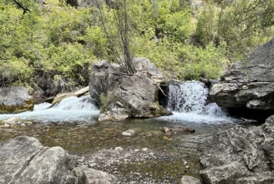 Palisades Creek Trail
