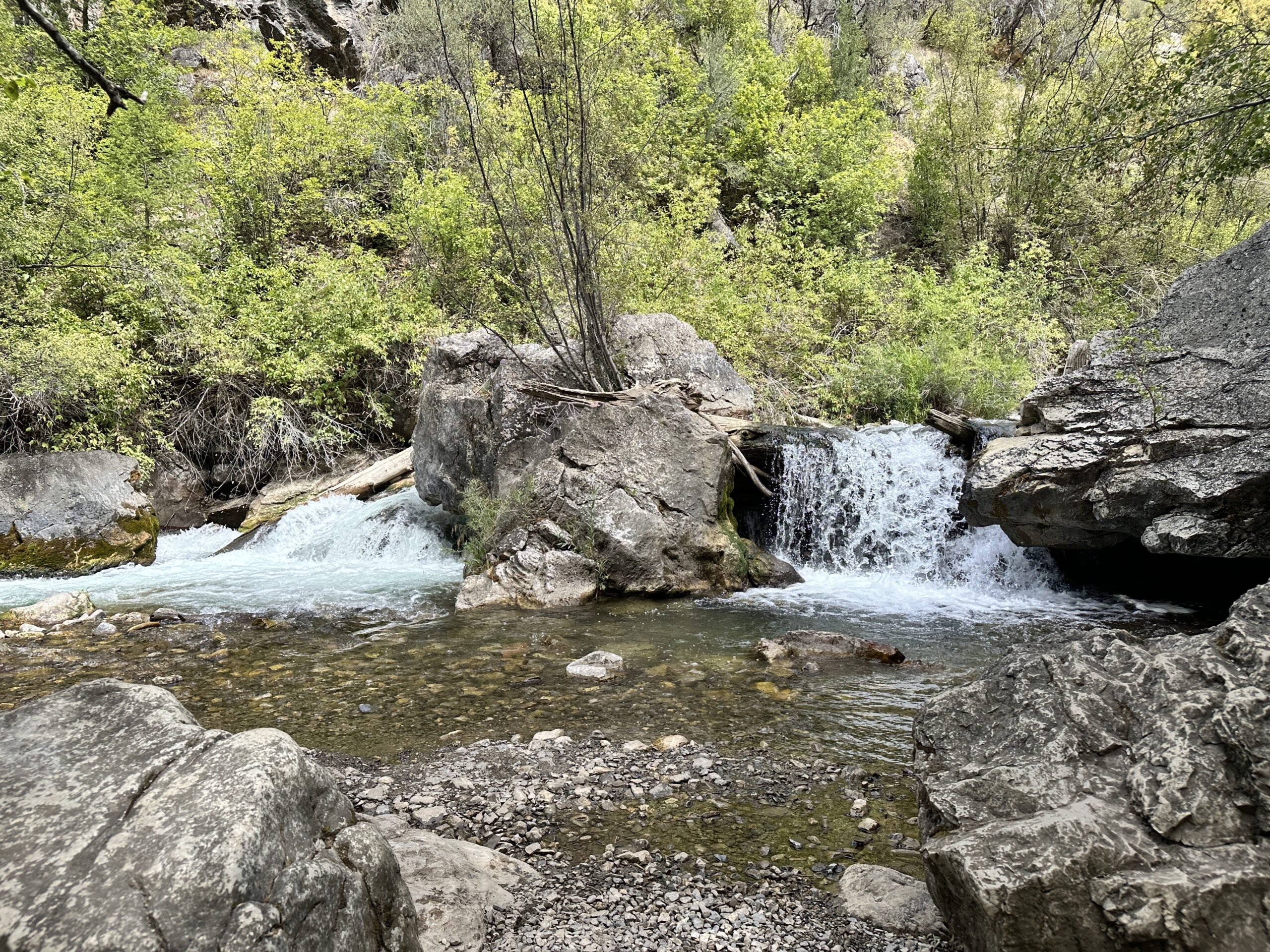 Palisades Creek Trail