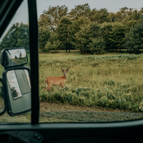 Scenic Drives in Southeast Idaho