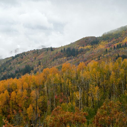 Scenic Drives in Southeast Idaho