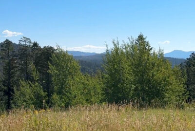 Kelly Canyon Trail