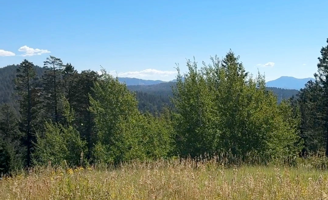 Kelly Canyon Trail