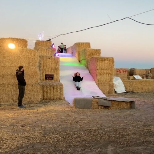 Menan's Haunted Hemp Maze