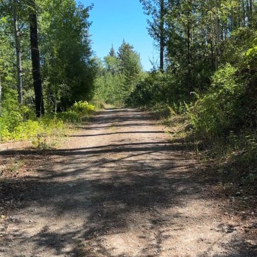 Kelly Canyon Trail