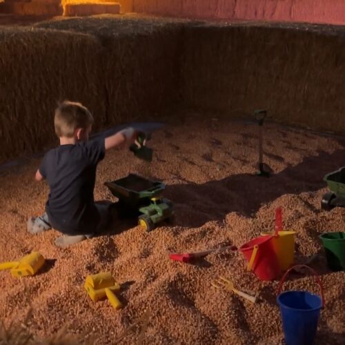 Menan's Haunted Hemp Maze