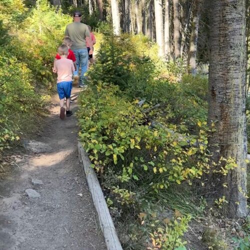 Coffee Pot Rapids Trail