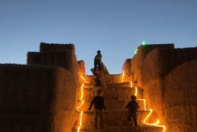 Menan's Haunted Hemp Maze