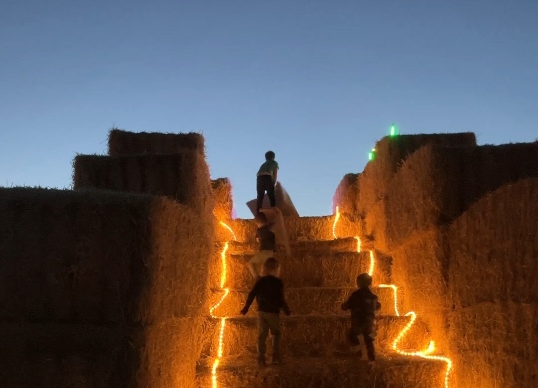 Menan's Haunted Hemp Maze