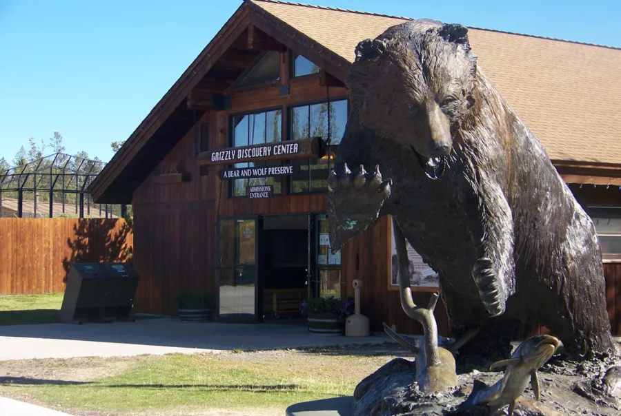 Grizzly & Wolf Discovery Center
