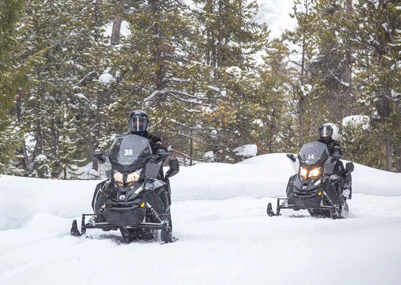 Snowmobile Guided Tours in West Yellowstone