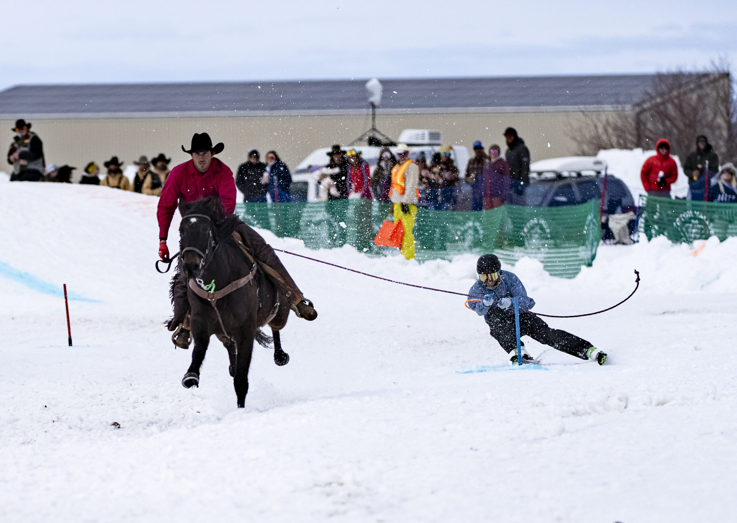 Winter,snow,Teton Valley, skijoring, events,horse,skiing, Horseback riding,