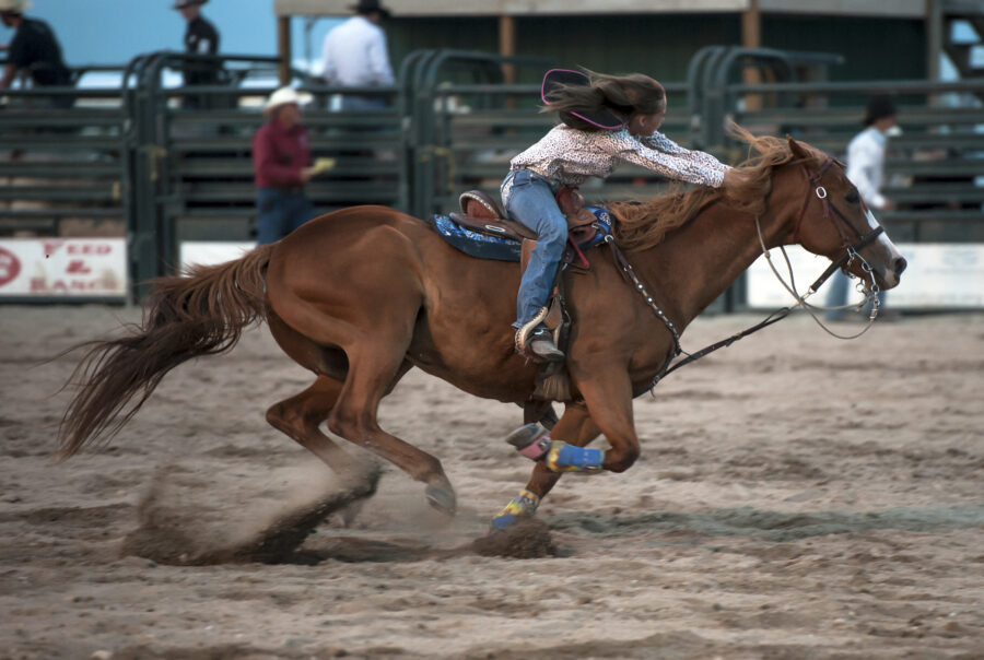 rodeo,summer,horseback riding,events,outdoor recreation,