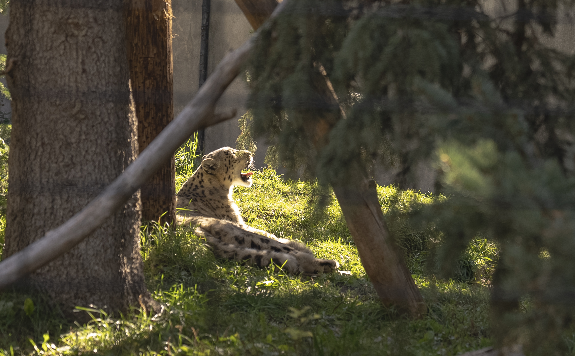 Idaho Falls, Zoo, Kid friendly, summer, fall,