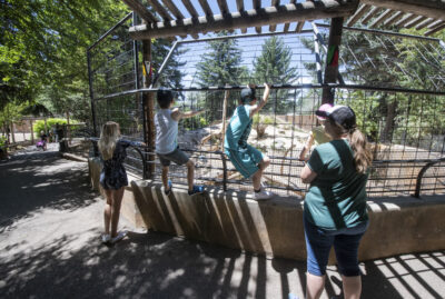 idaho falls,zoo,attractions,summer,family fun,