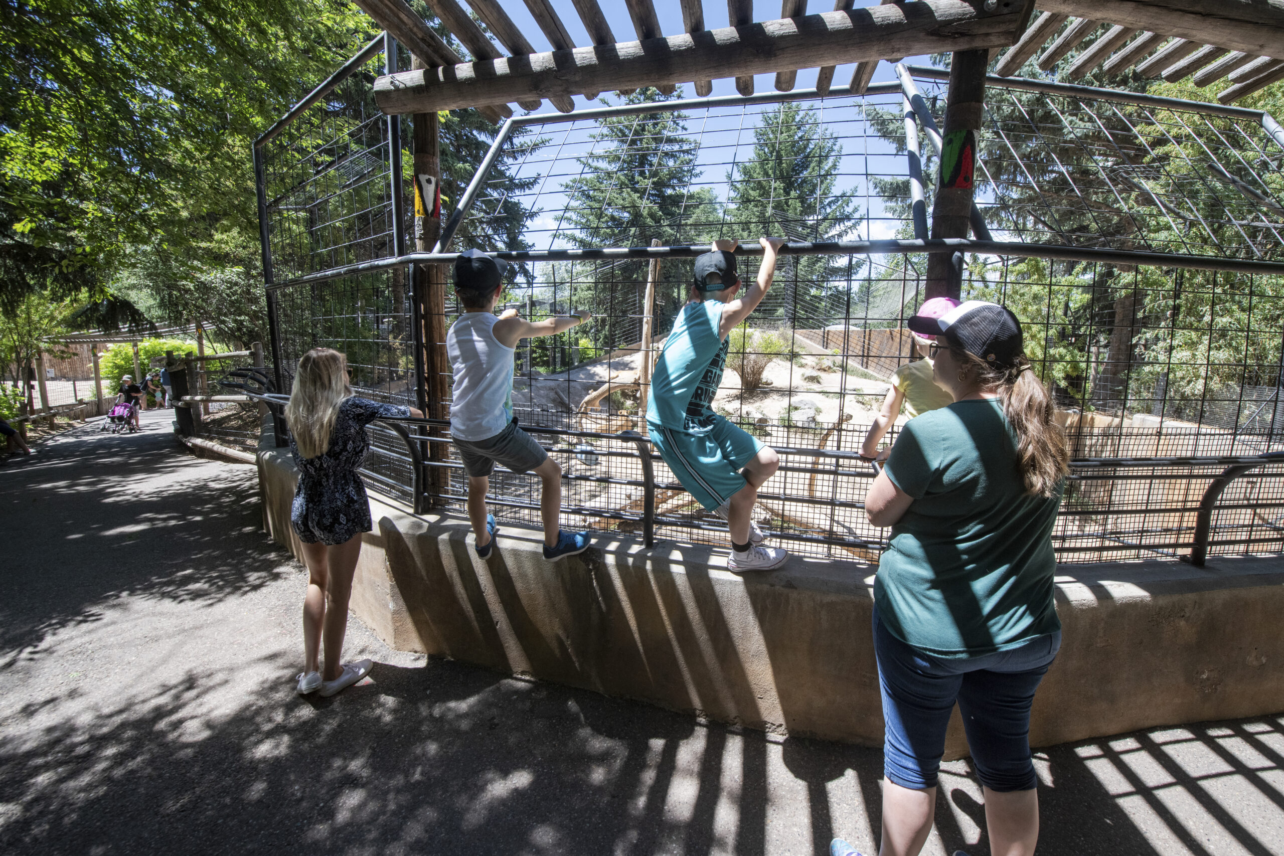 idaho falls,zoo,attractions,summer,family fun,