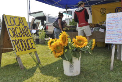 teton valley,summer,farmers market,flowers,events,driggs,