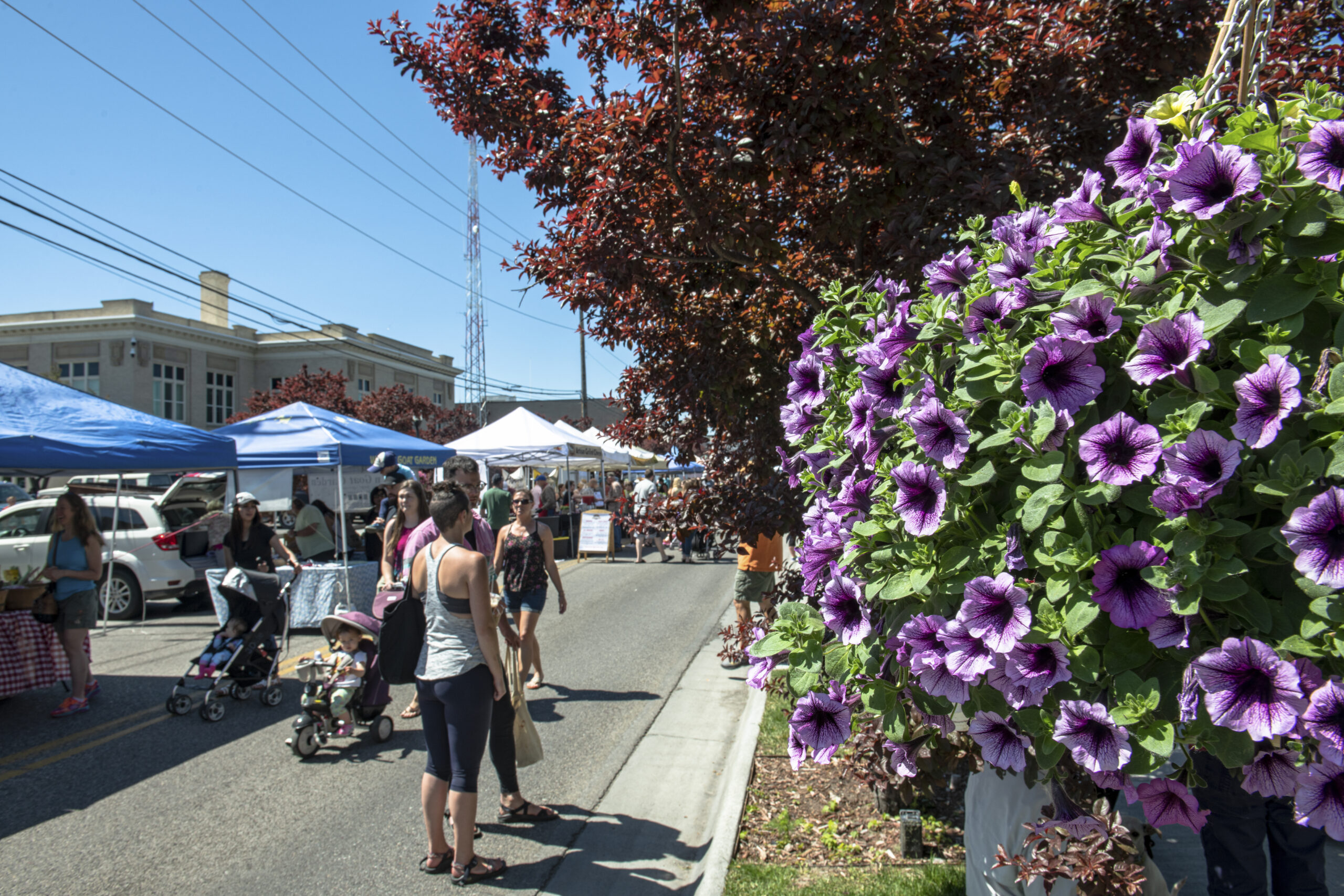 idaho falls,events,summer,family fun,