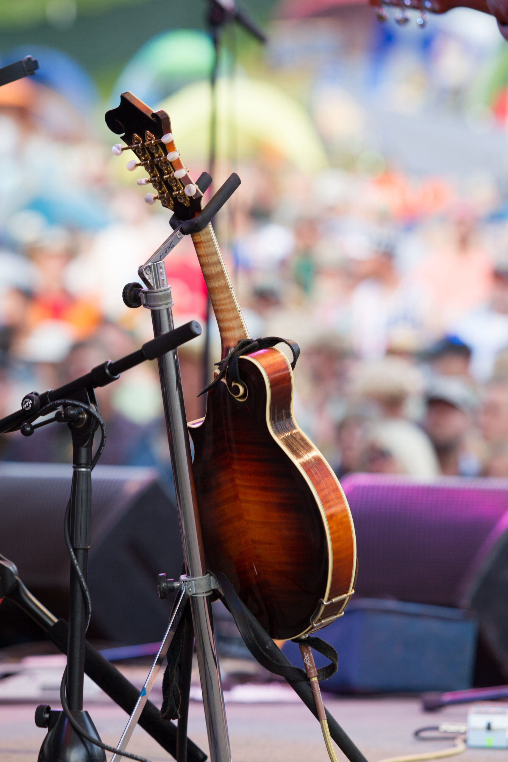 bluegrass summer fest
