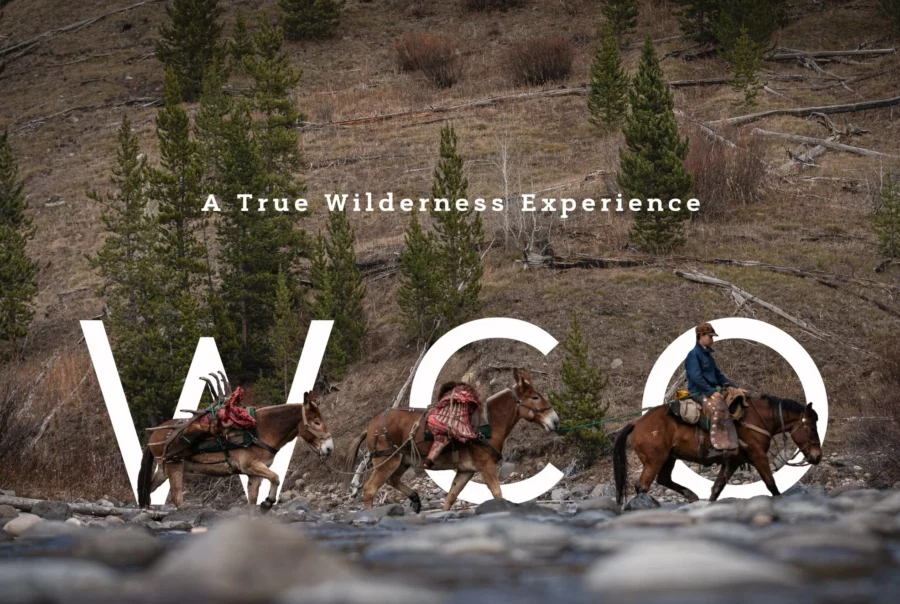 Wolverine Creek Outfitters