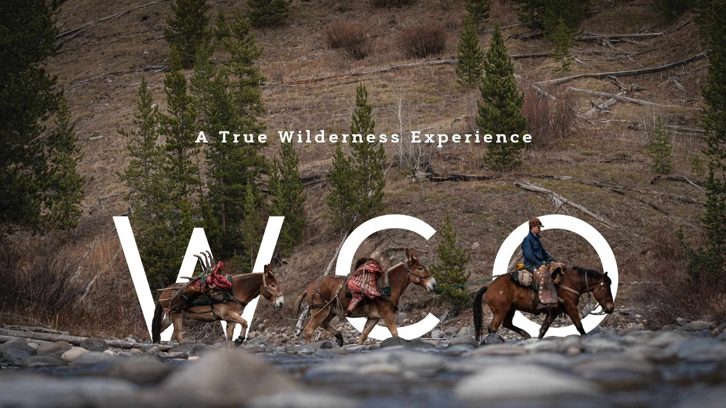 Wolverine Creek Outfitters