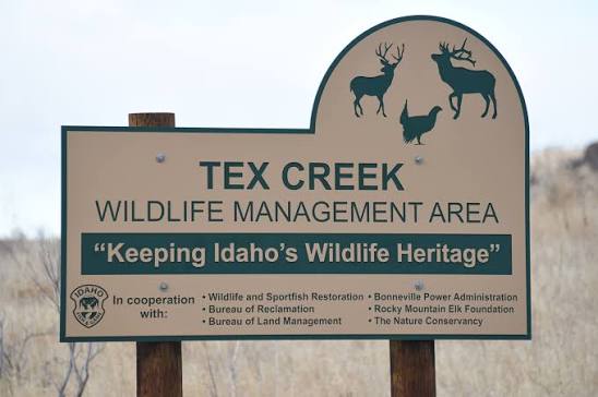 Tex Creek Wildlife Management Area