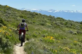 The BikeTender, LLC
