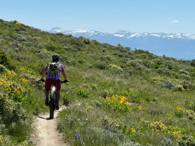 The BikeTender, LLC