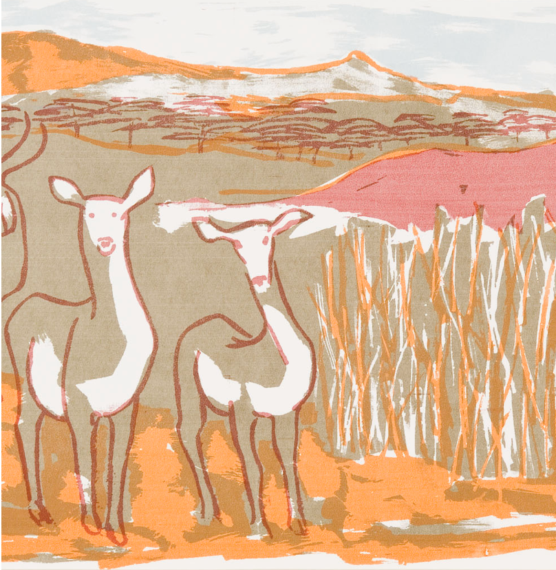 Shared Ground